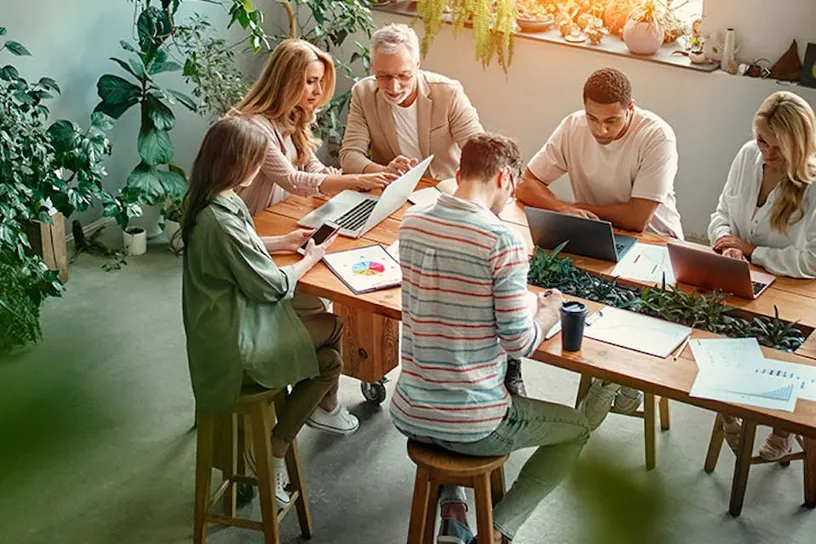 Advantages and Disadvantages of a UK Private Limited Company